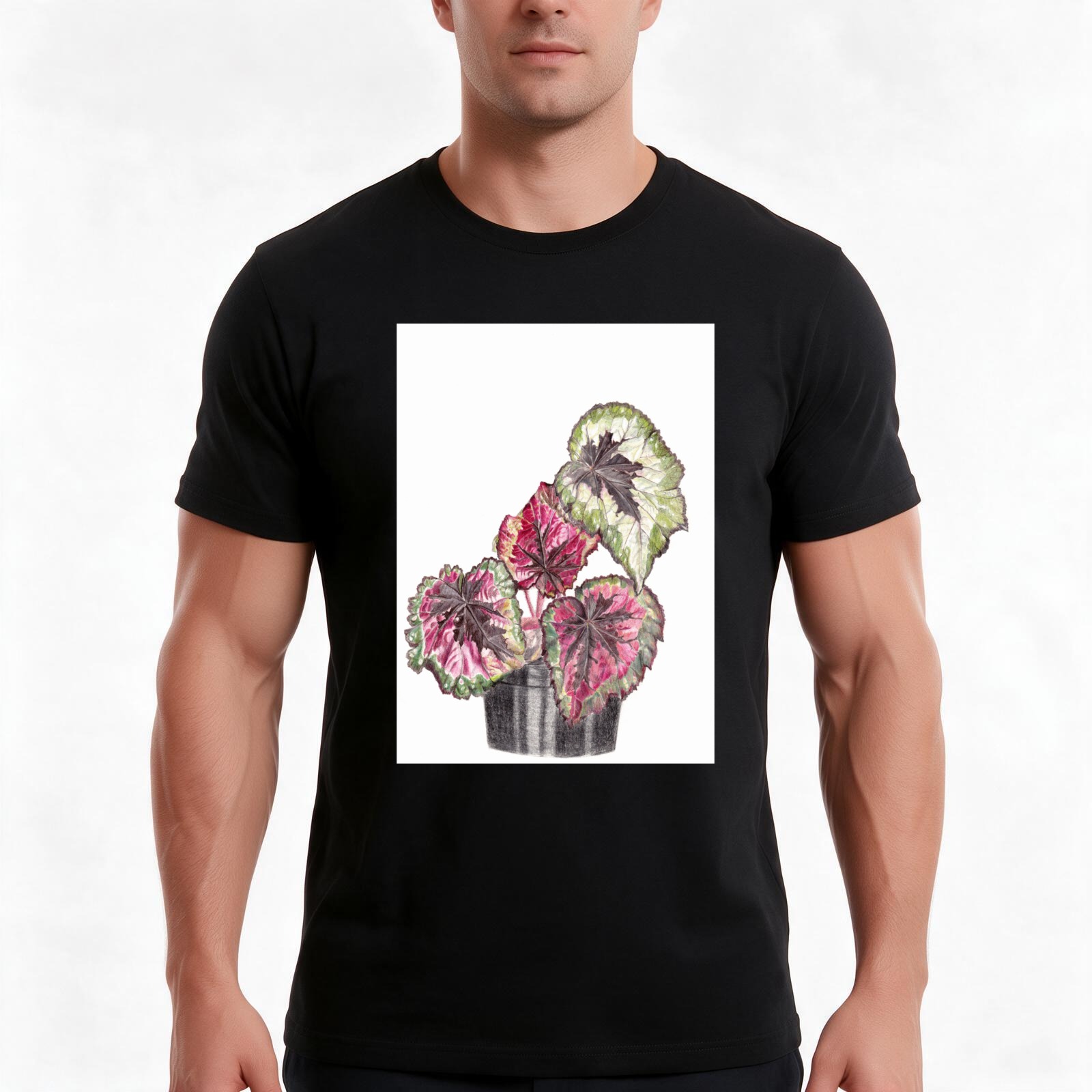 Begonia Rex T-Shirt, Summer Ca - Begonia Rex 评论和价格