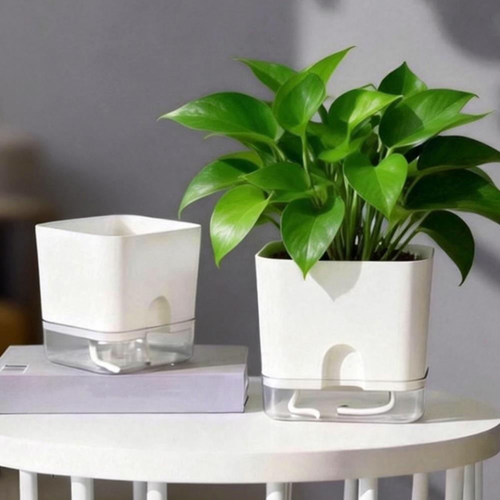 Automatic Watering Flower Pots - Aloe Vera Pot 评论和价格