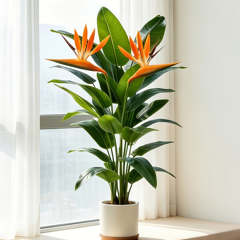 Lifelike Artificial Banana Lea - Dracaena Marginata 评论和价格