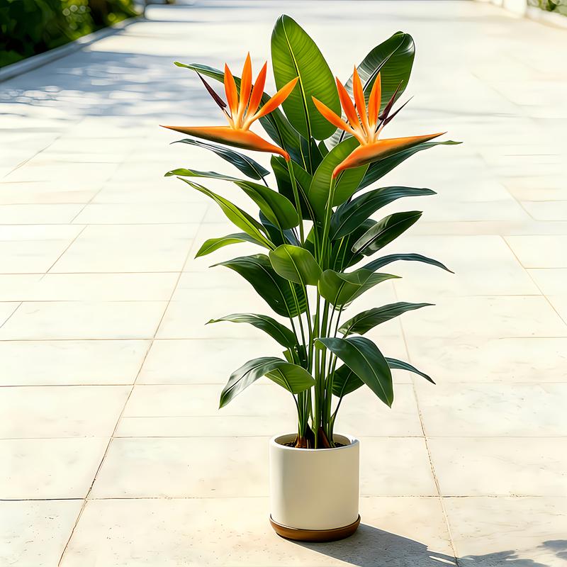 Lifelike Artificial Banana Lea - Dracaena Marginata 评论和价格
