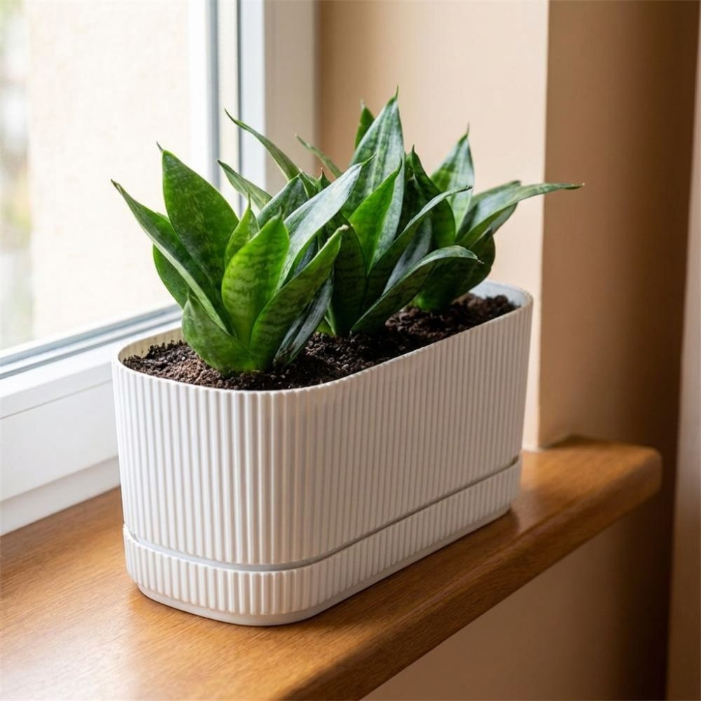Plastic Self Watering Flower P - Aloe Vera Pot 评论和价格