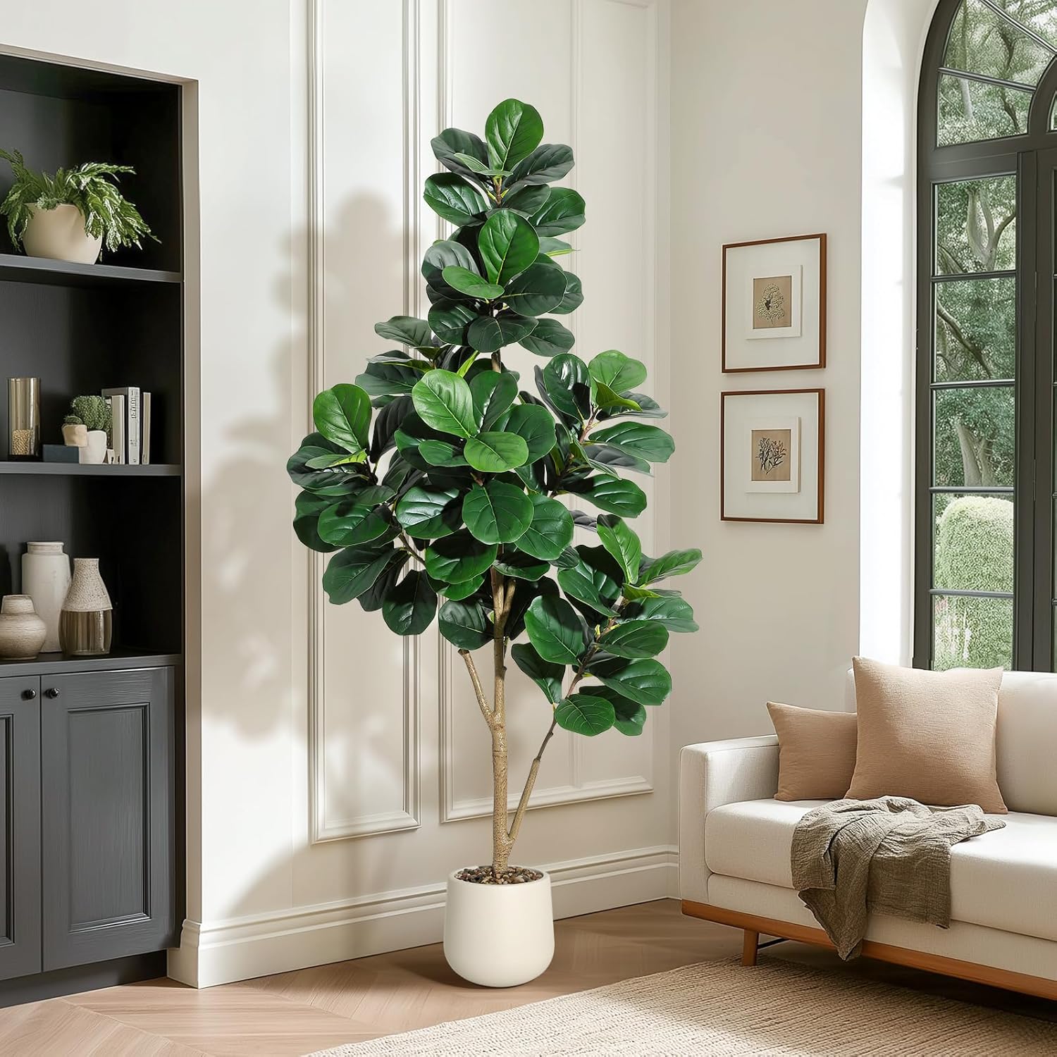4-7 FT Fiddle Leaf Fig Tree Ar - Dracaena Marginata 评论和价格