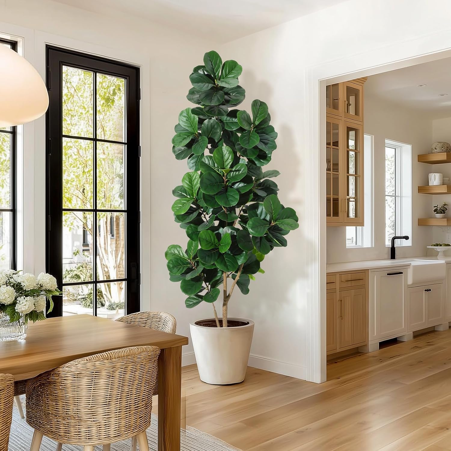 4-7 FT Fiddle Leaf Fig Tree Ar - Dracaena Marginata 评论和价格
