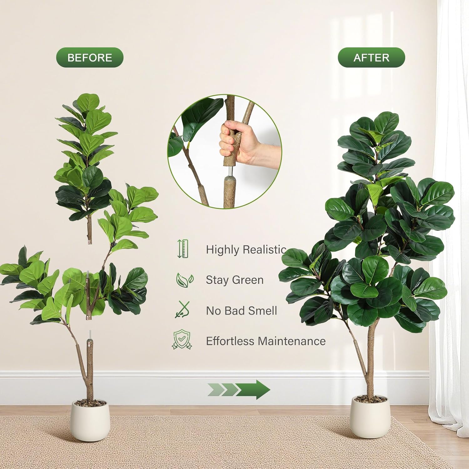4-7 FT Fiddle Leaf Fig Tree Ar - Dracaena Marginata 评论和价格
