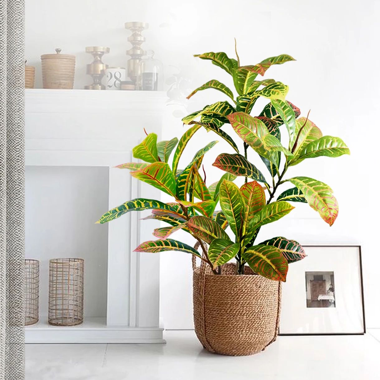 32-120cm Artificial Plant Fake - Dracaena Marginata 评论和价格