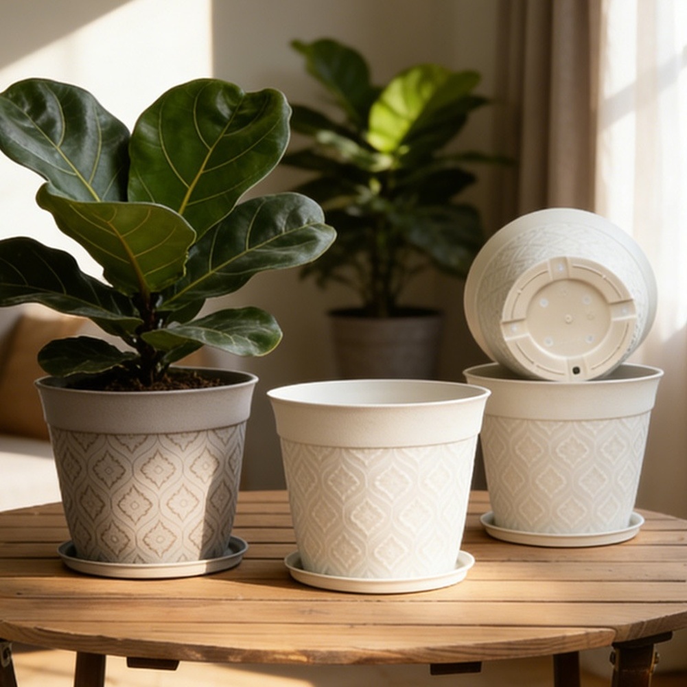 Matte Finish Plant Pot With Sa - Aloe Vera Pot 评论和价格