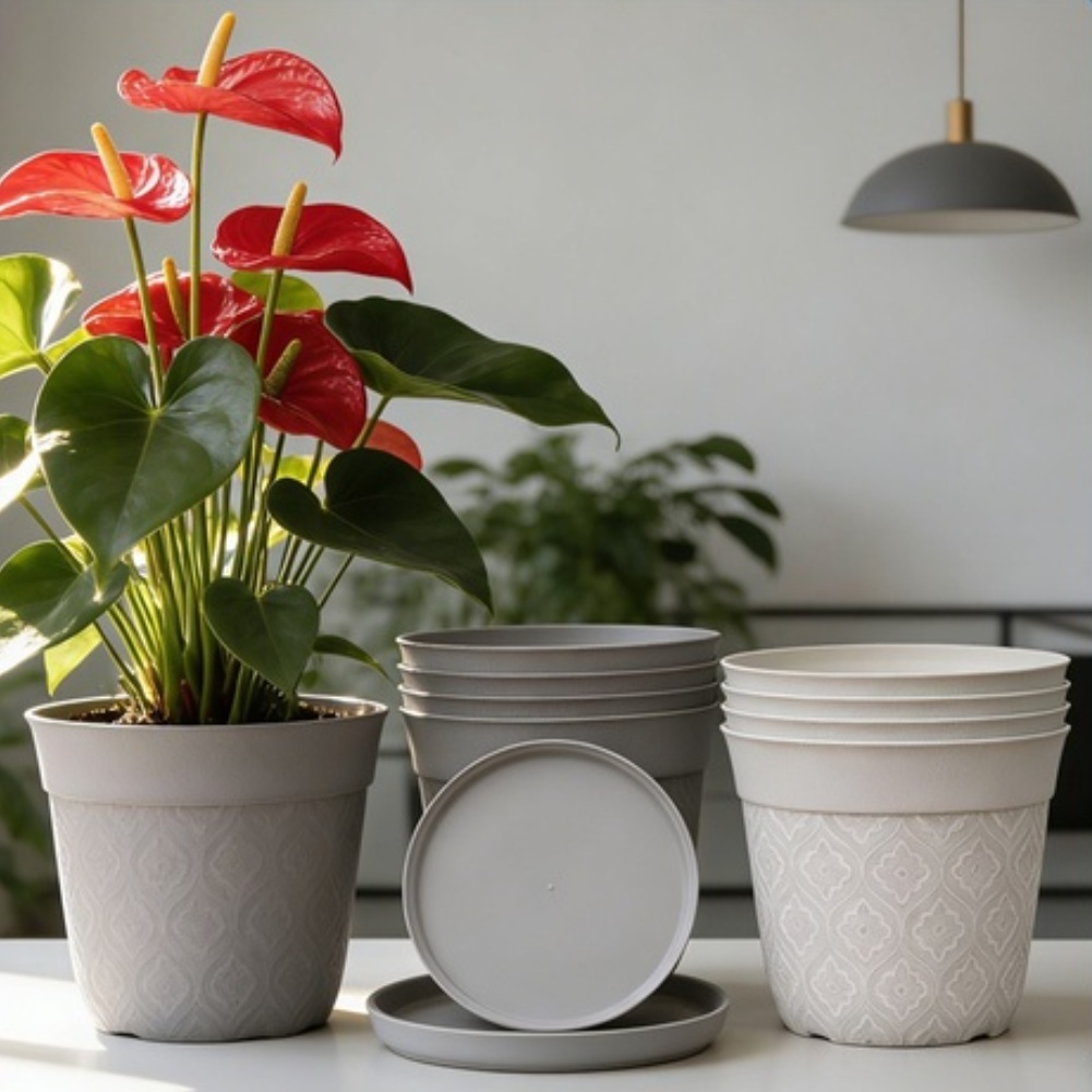 Matte Finish Plant Pot With Sa - Aloe Vera Pot 评论和价格