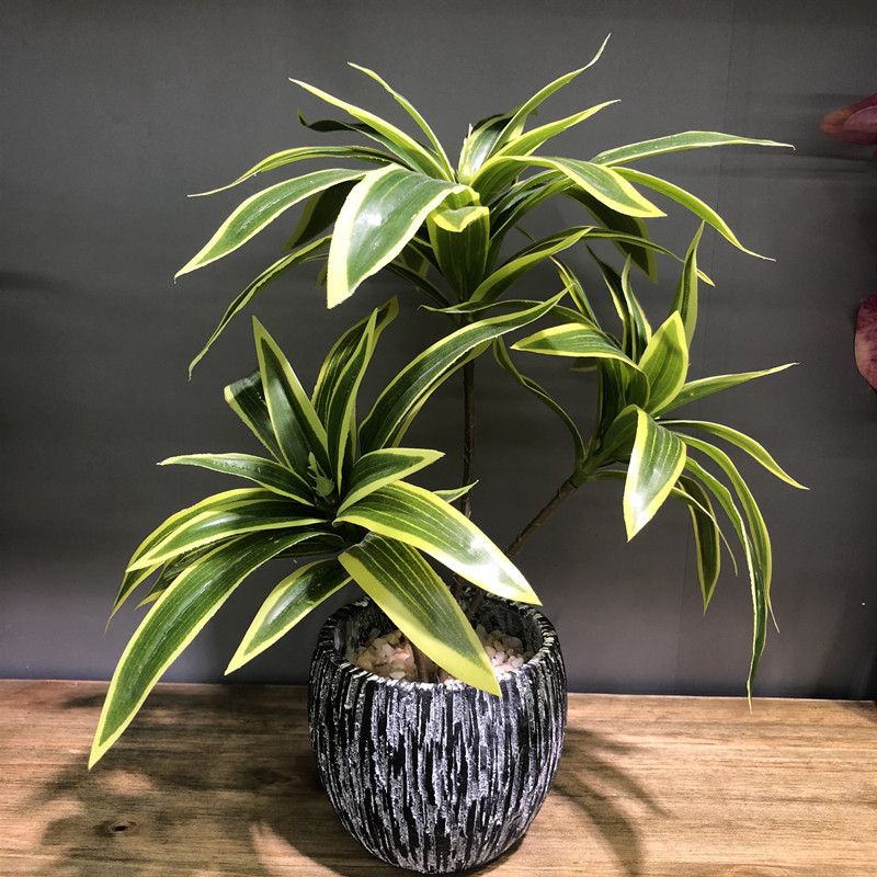 35CM 3 Fork Artificial Desktop - Dracaena Marginata 评论和价格