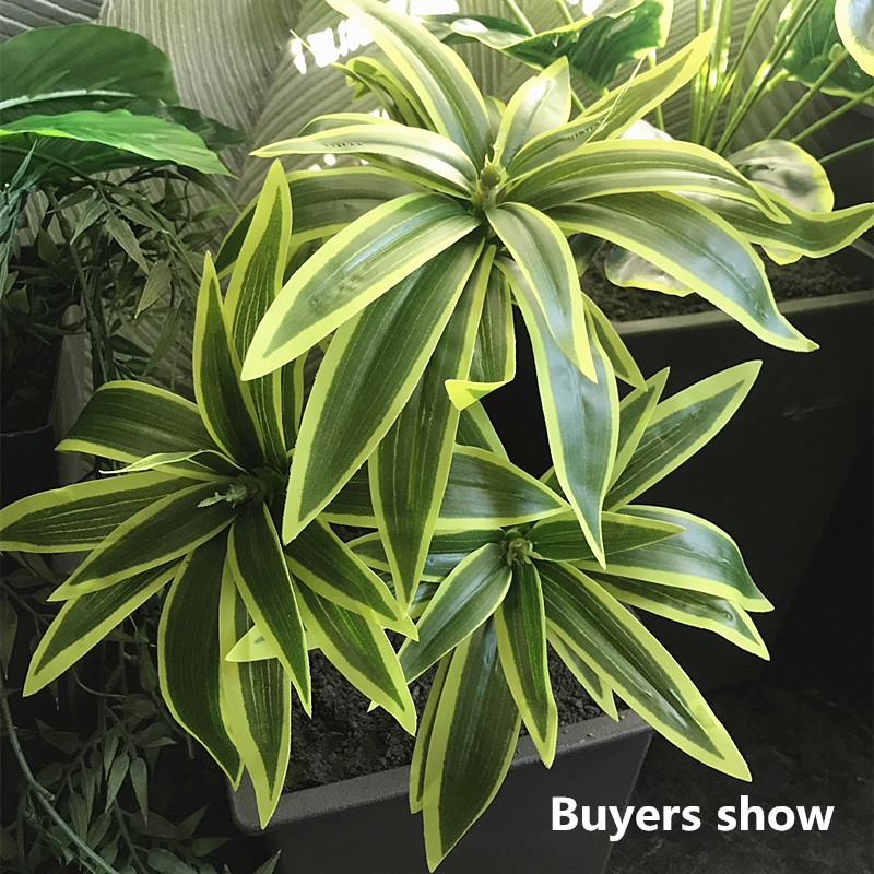 35CM 3 Fork Artificial Desktop - Dracaena Marginata 评论和价格