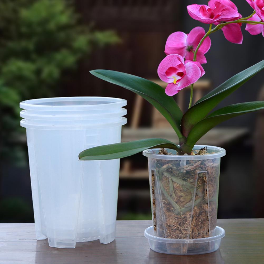 5PCS/Kit Clear Plastic Orchid  - Aloe Vera Pot 评论和价格