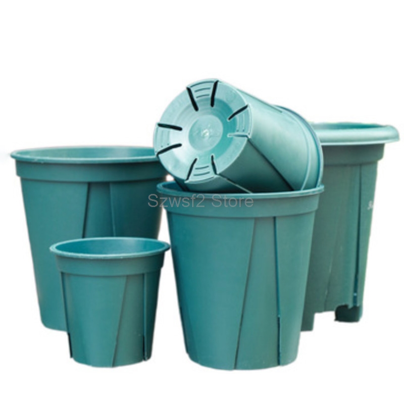 5/10pcs Green Plastic Plant Fl - Aloe Vera Pot 评论和价格