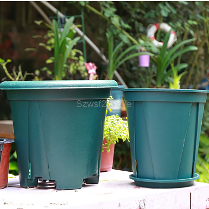 5/10pcs Green Plastic Plant Fl - Aloe Vera Pot 评论和价格